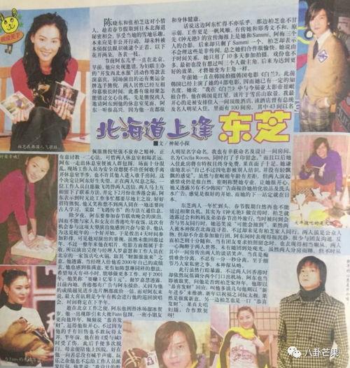 讨论娱乐圈吃瓜的小说