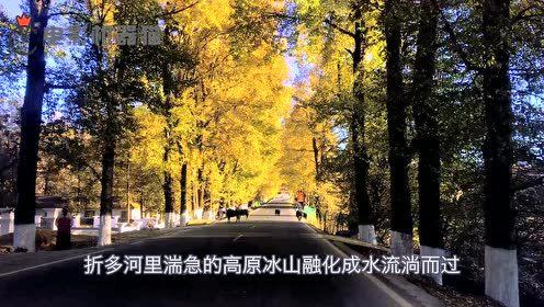 娱乐吃瓜君2,揭秘娱乐圈背后的秘密与八卦