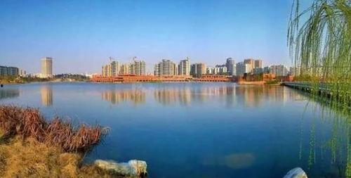 娱乐吃瓜酱胶州