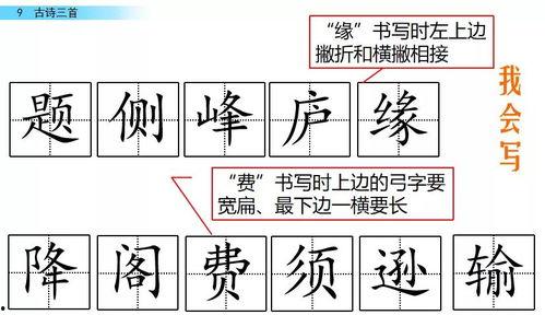 娱乐吃瓜四字成语大全及解释,揭秘娱乐吃瓜界的四字成语奥秘