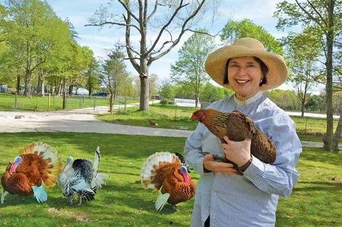 吃瓜娱乐酱顶流社,揭秘顶流社背后的明星圈层