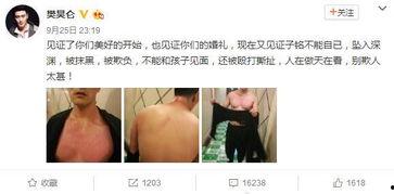 娱乐圈吃瓜熊婶