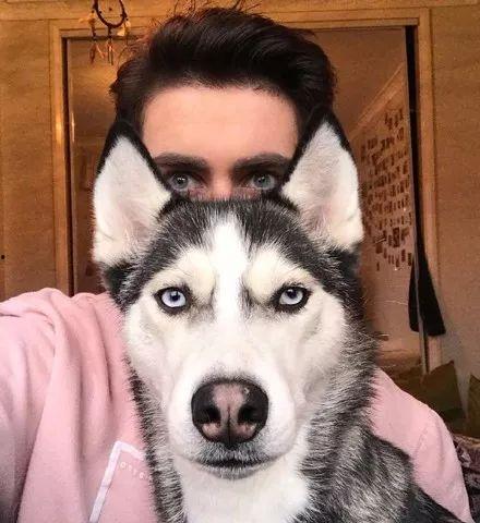 娱乐吃瓜酱二哈