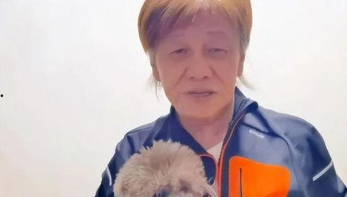 吃瓜系统一口气看完娱乐圈,一网打尽，尽在吃瓜系统