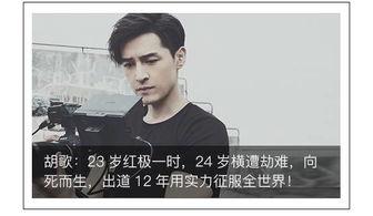 娱乐吃瓜君谦谦君子,揭秘娱乐圈的清流风采